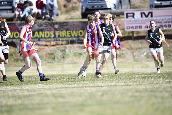 _DSC3713