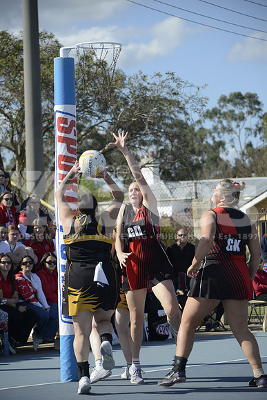 _DSC3666