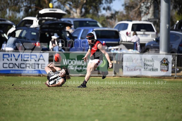 _DSC1136