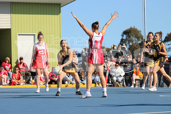 IMG_7468