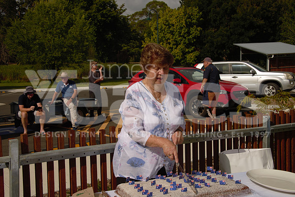 Cake Cutting