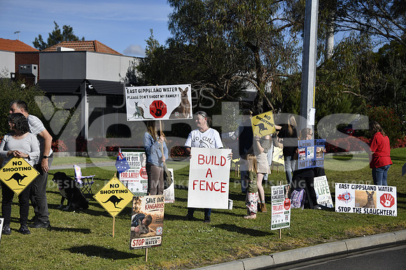 _DSC7362