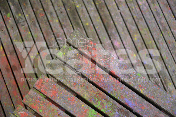 _DSC4179