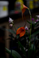 _DSC8342