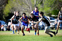 _DSC0075