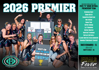 2026 ODFNL Netball Poster A2 (thumbnail)