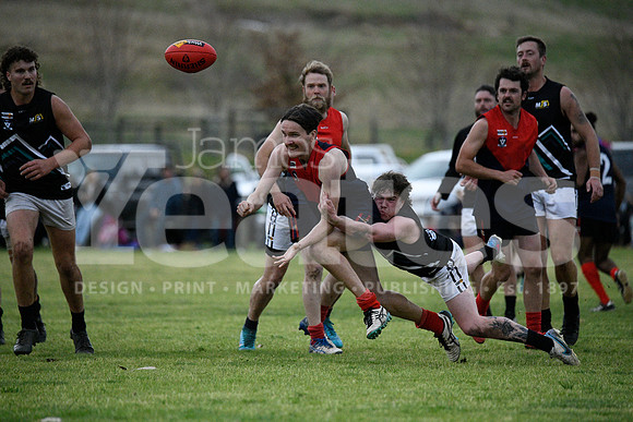 _DSC3576