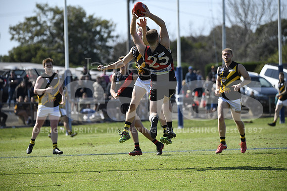 _DSC0813