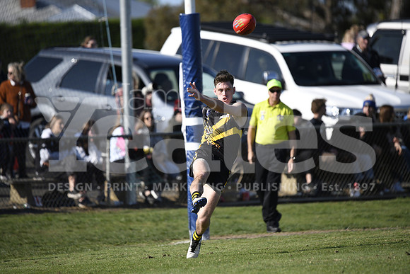 _DSC1137
