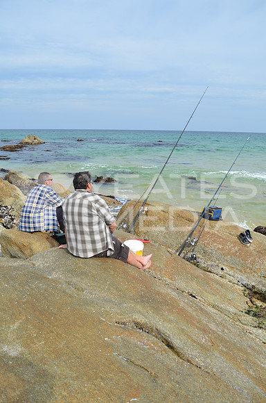 RFS_0894