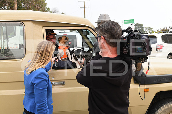 RFS_0037