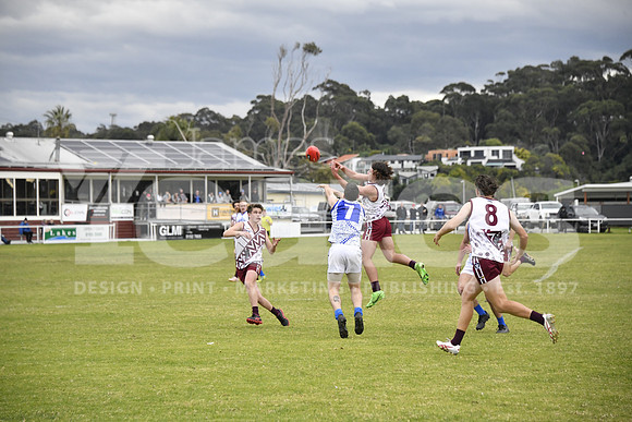 _DSC2019