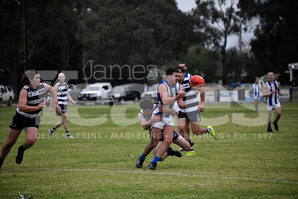 _DSC1319