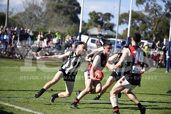 _DSC1375